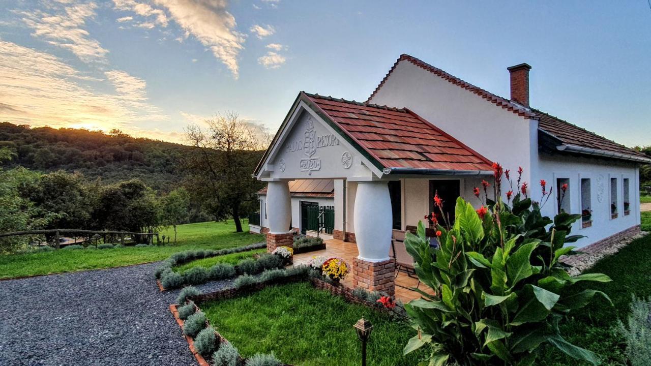 Palos Resort Zalacsány Εξωτερικό φωτογραφία