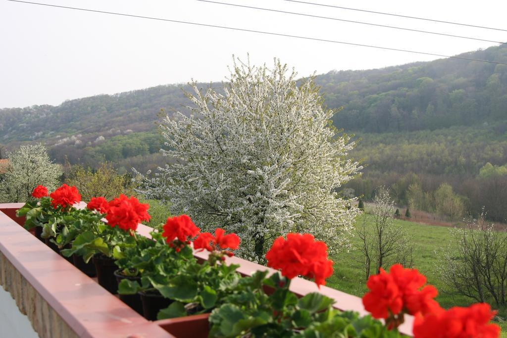 Palos Resort Zalacsány Εξωτερικό φωτογραφία