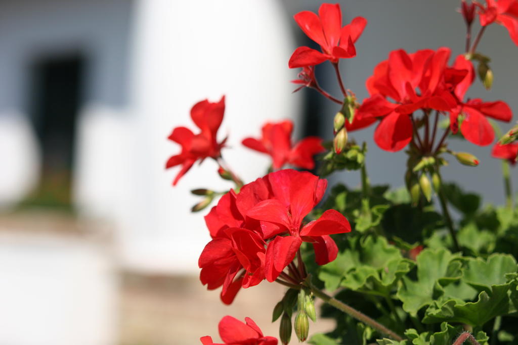 Palos Resort Zalacsány Εξωτερικό φωτογραφία